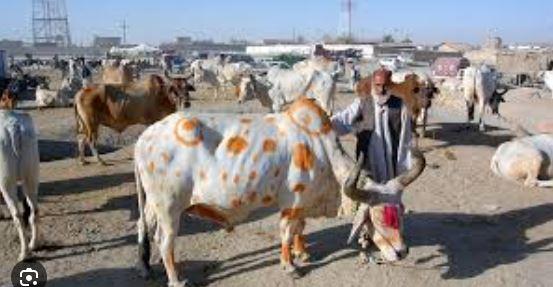 Nation to celebrate Eidul Azha tomorrow with religious zeal