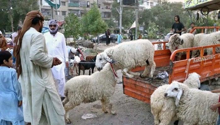 ملک بھر میں عیدالاضحیٰ مذہبی جوش وجذبے سے منائی جا رہی ہے