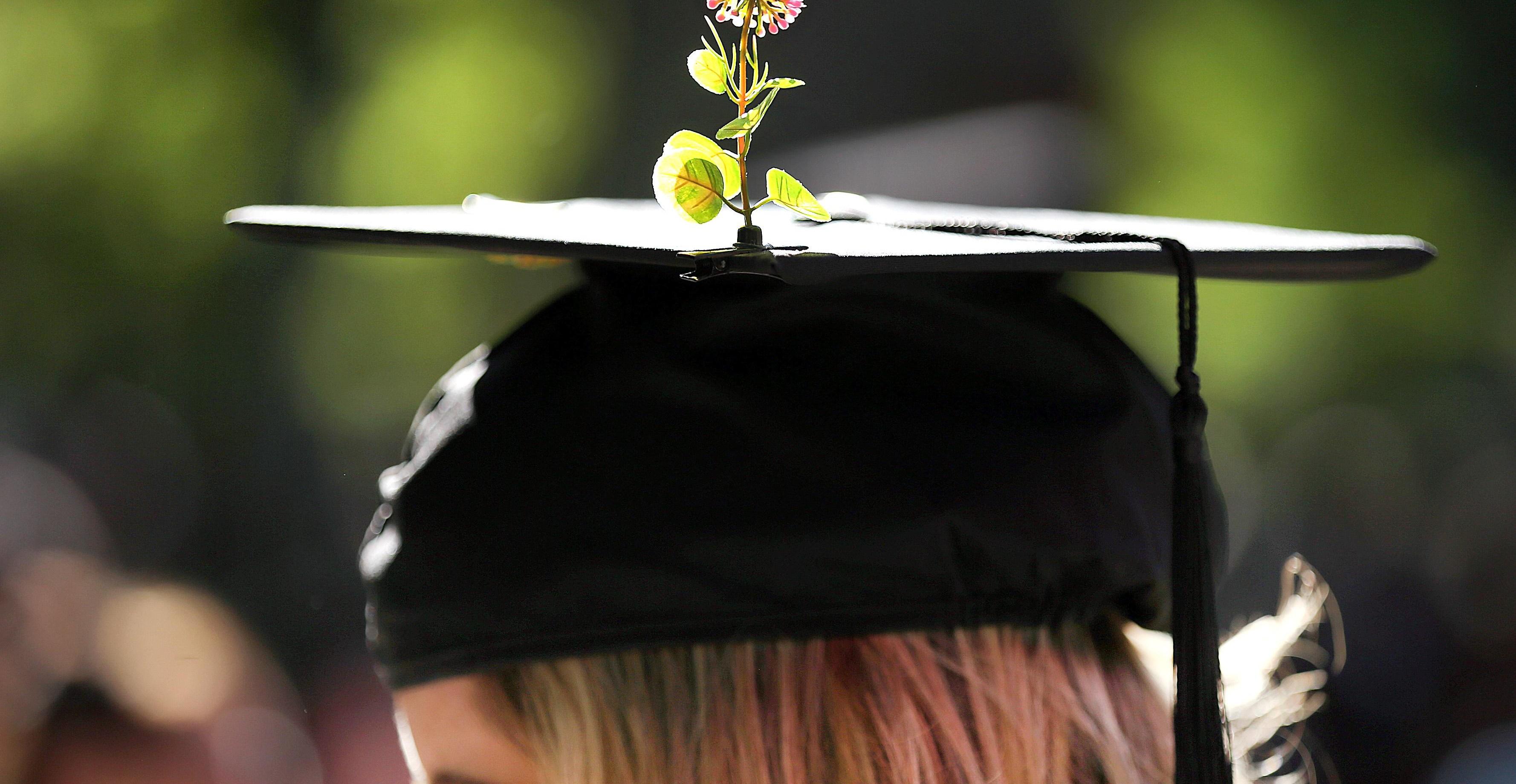 New college grads are doing better than the vibes suggest