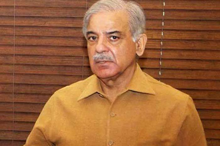 ہمیں ملک کو معاشی میدان میں مضبوط بنانا ہوگا  : شہبازشریف