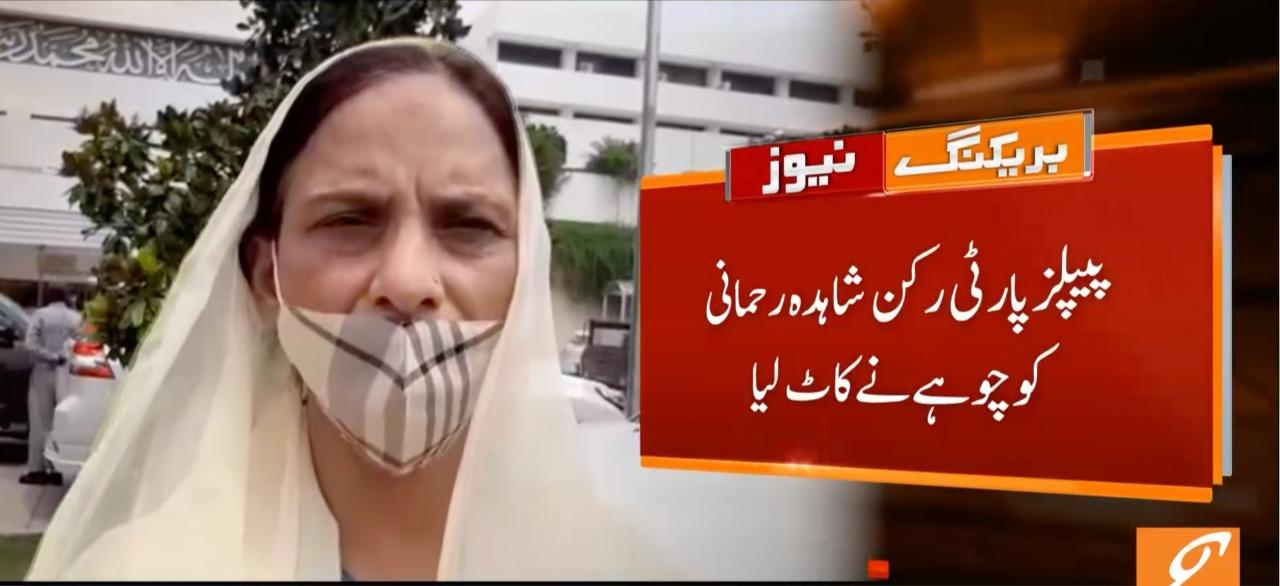 Rat bites sleeping PPP legislator at Parliament Lodges