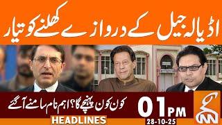 Day of Meeting with Imran Khan - Updates | News Headlines | 01 PM | 28 October 2025 | GNN