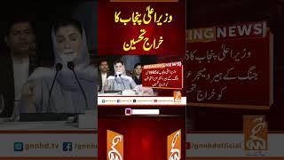 وزیر اعلیٰ پنجاب کا خراج تحسین #gnn #latest #updates #news #breaking #breakingnews #newsupdates