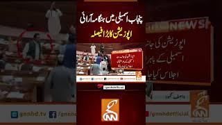 پنجاب اسمبلی میں ہنگامہ آرائی اپوزیشن کا بڑا فیصلہ #gnn #breakingnews #headlines #latest