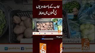 سیلاب کے باعث سبزیوں کی قیمتوں میں اضافہ #gnn #latest #updates #news #breaking #breakingnews