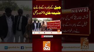 جیل کے باہر روکے جانے پر علیمہ خان کا سخت ردِ عمل #gnn #breaking #pti #breaking #aleemakhan #pti