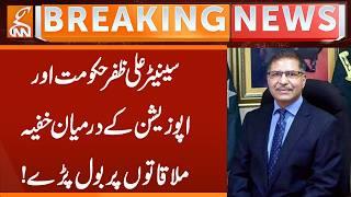 Senator Ali Zafar Speaks Out on Secret Government-Opposition Meetings! | Breaking News | GNN