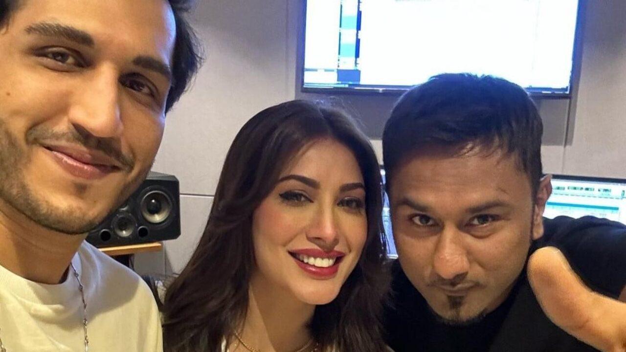 Mehwish Hayat to perform in Indian song