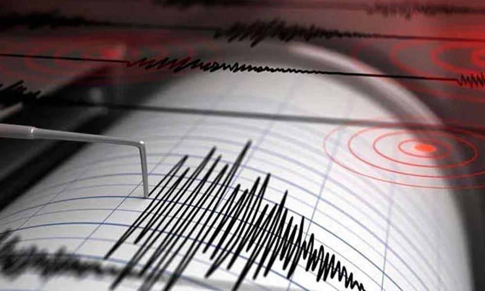 Earthquake tremors in Indian capital Delhi