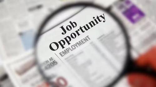 Sindh introduces scholarship and job portal to boost education, employment