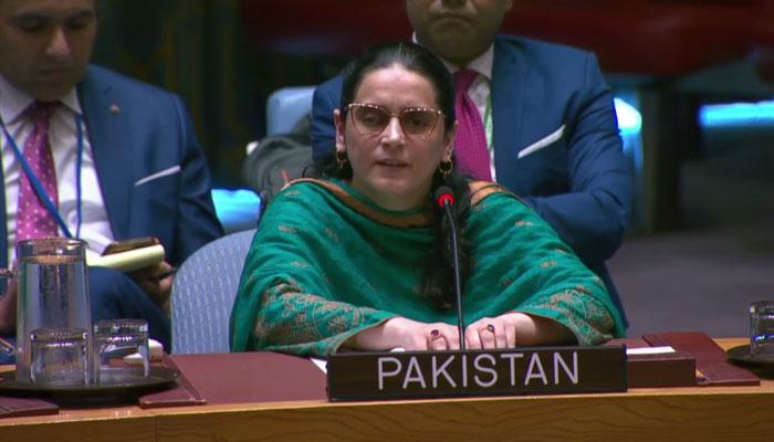 بھارت خطے کو غیر مستحکم کرنے کے لیے پراکسی گروپس استعمال کررہا ہے ، پاکستان کابھارت کو منہ توڑ جواب