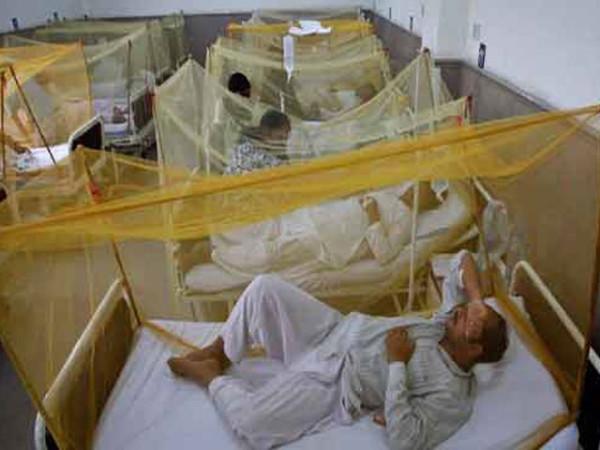 موسم کی تبدیلی کے ساتھ ہی خیبرپختونخوا میں ڈینگی کیسز میں اضافہ