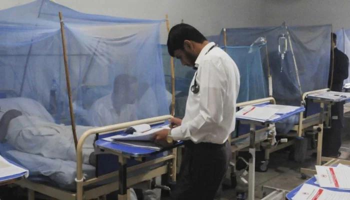 راولپنڈی میں گزشتہ 24 گھنٹوں کے دوران مزید 17 ڈینگی کے نئے مریض رپورٹ