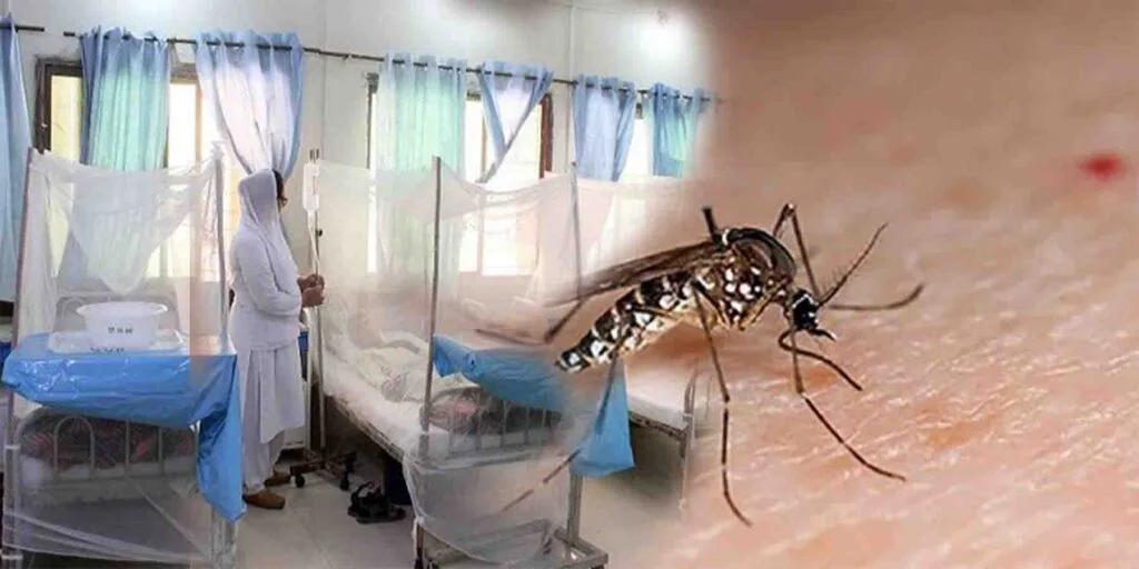 راولپنڈی شہر میں ڈینگی کے خطرناک وار کا سلسلہ جاری،گزشتہ 24 گھنٹوں میں 25 نئے کیسز رپورٹ