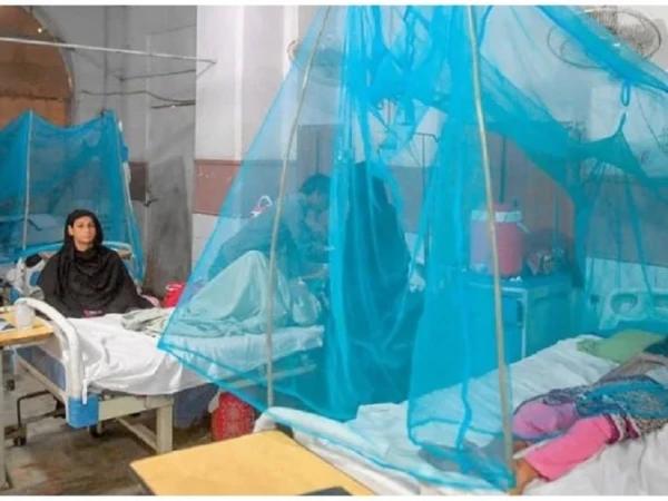 راولپنڈی میں ڈینگی بے قابو،گزشتہ 24 گھنٹوں کے دوران 34 نئے مریض رپورٹ