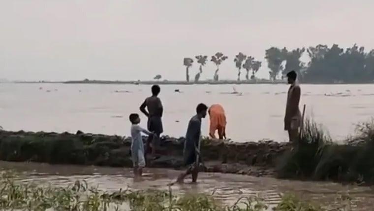 پنجاب نے بارشوں کے باعث دریاؤں کے بہاؤ میں اضافےکا الرٹ جاری