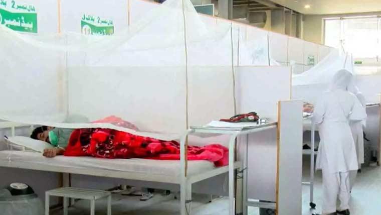 راولپنڈی: ڈینگی کیسز میں اضافہ بدستور جاری، گزشتہ 24 گھنٹوںمیں  24 نئے مریض رپورٹ