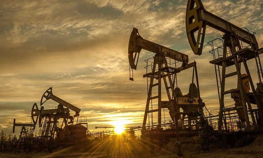 New oil, gas reserves discovered