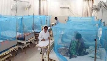 حیدرآباد سمیت اندرون سندھ کے کئی اضلاع میں ڈینگی اور ملیریا کے کیسز میں اضافہ