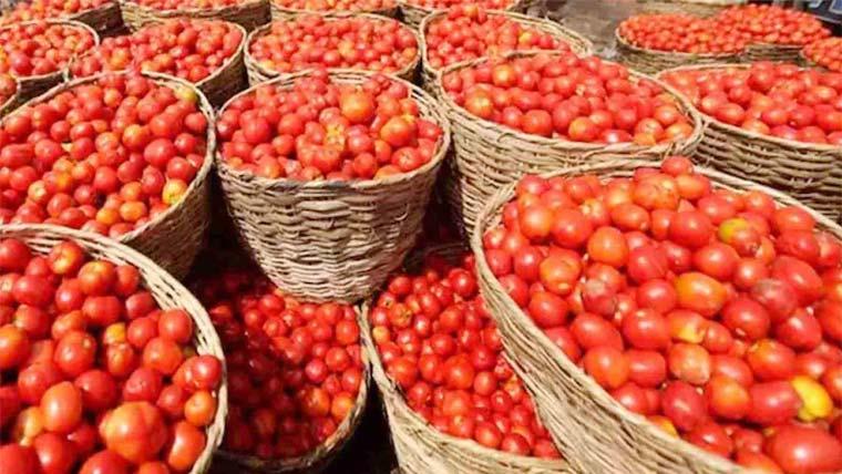 ملک کے مختلف شہروں میں ٹماٹروں کی قیمت نے ہوش اڑا دیئے