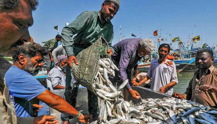 پاکستان کی چین کو سمندری غذا کی برآمدات 153 ملین ڈالر سے تجاوز کر گئیں
