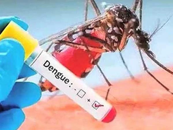 راولپنڈی اور پشاور میں ڈینگی بے قابو، گزشتہ 24 گھنٹوں میں59 نئے کیسز رپورٹ