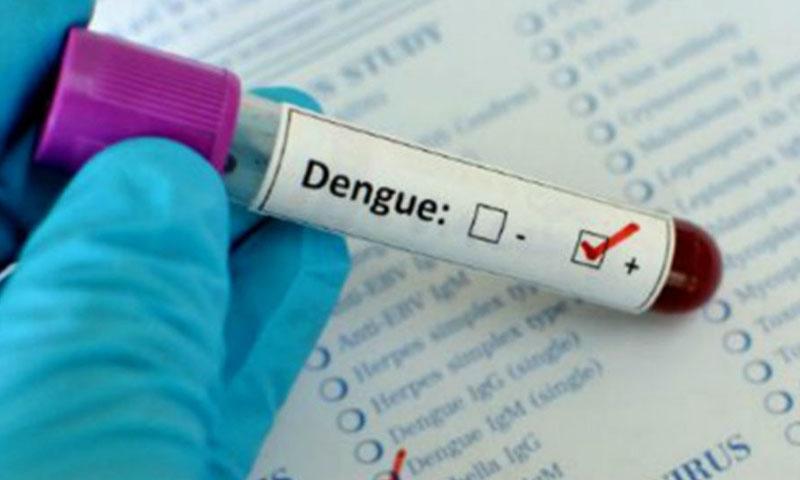 راولپنڈی، اسلام آباد میں ڈینگی مریضوں کی تعداد میں مسلسل اضافہ ،مجموعی تعداد 1177 ہوگئی