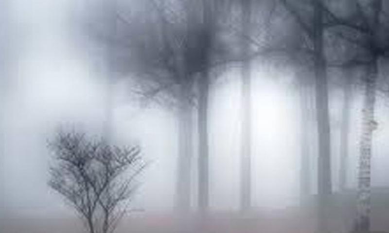 ملک کے بیشتر علاقوں میں موسم خشک اور علاقوں میں سرد رہے گا،محکمہ موسمیات