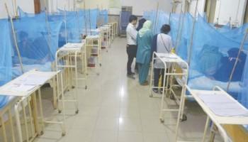 راولپنڈی : ڈینگی کے مریضوں میں بتدریج اضافہ، گزشتہ 24 گھنٹوں میں 32 کیسز رپورٹ