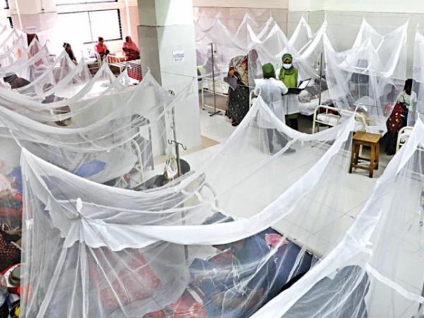 راولپنڈی میں ڈینگی کے وار تھم نہ سکے، گزشتہ 24 گھنٹوں میں19 نئے مریض رپورٹ