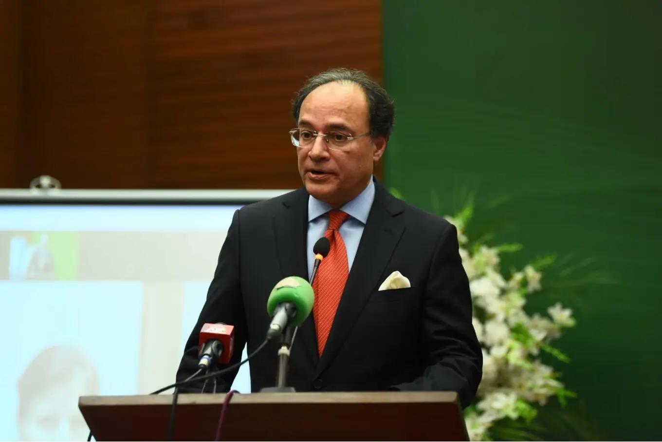 24 سرکاری ادارے نجکاری کے لیے مختص ، پی آئی اے کی نجکاری رواں سال مکمل ہوجائے گی،وزیر خزانہ