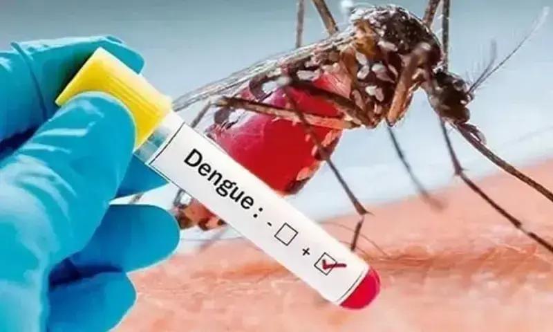 Dengue on spike in KP, 105 new cases report in 24 hours