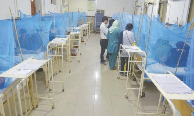 سندھ: ڈینگی بخار کا شکار مزید 2افراد انتقال کرگئے،کل مرنیوالوں کی تعداد 31 ہوگئی