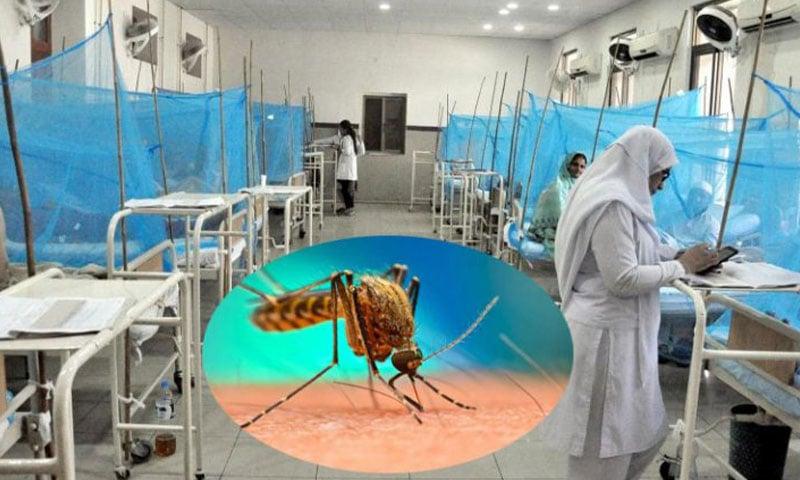 اسلام آباد میں انسداد ڈینگی مہم مزید تیز، کیسز کی تعدادمیں نمایاں کمی