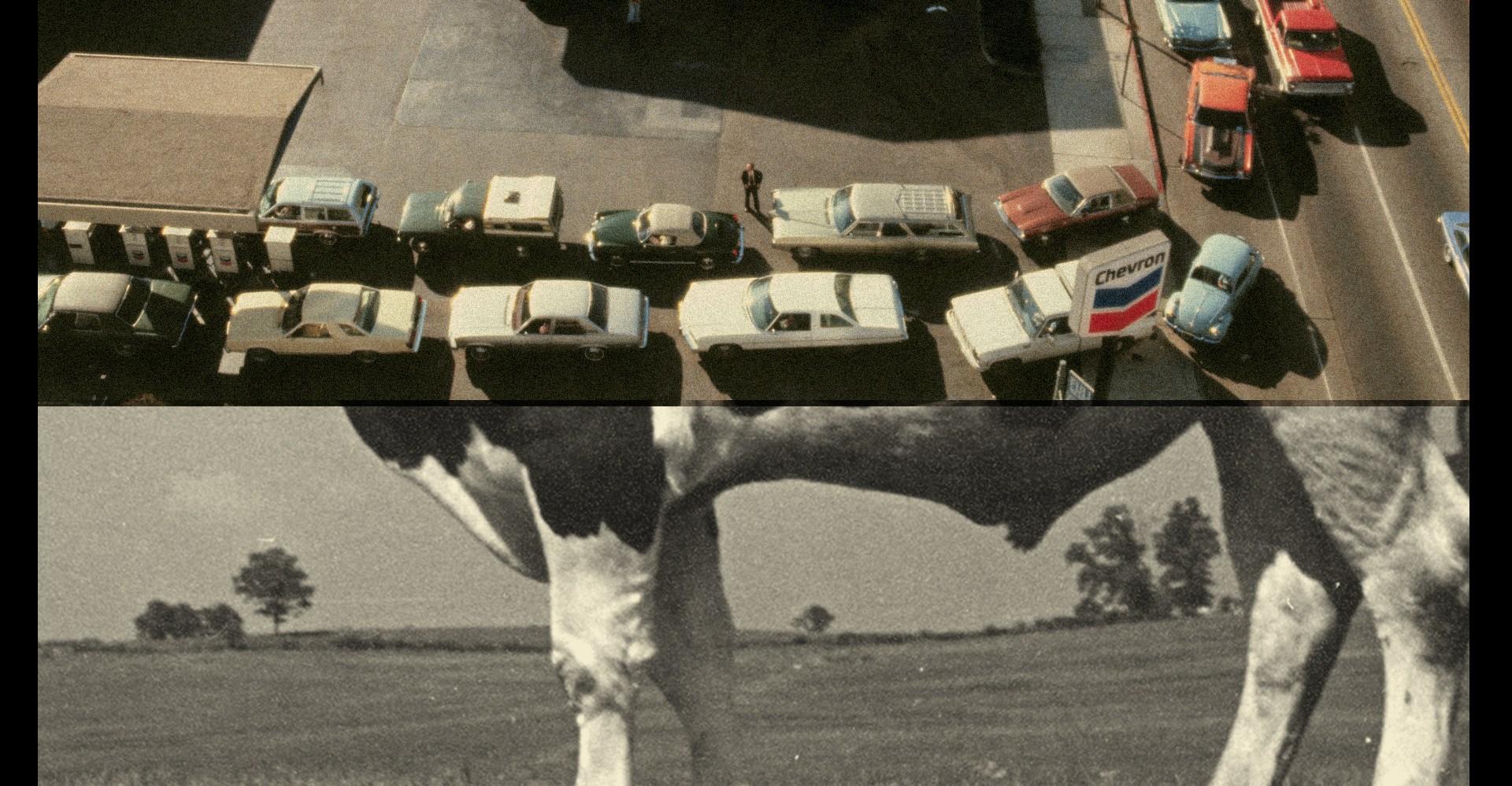 We need to grow the economy. We need to stop torching the planet. Here’s how we do both.