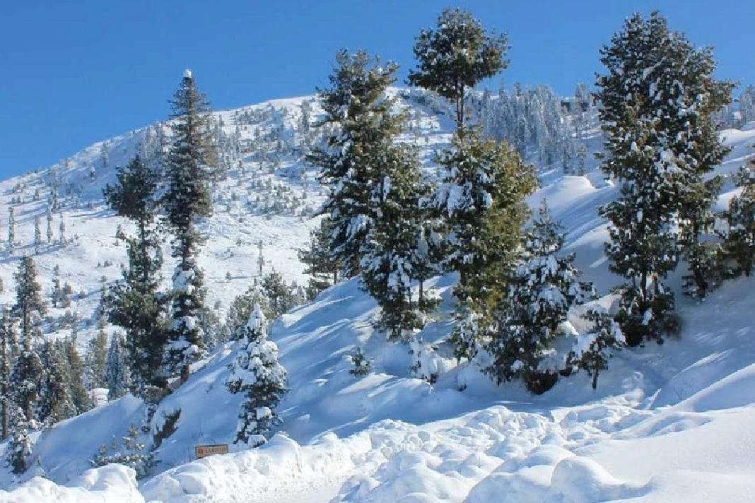 مری میں برفباری ، اب تک ڈیڑھ فٹ برف ریکارڈ،محکمہ موسمیات کی مزید بارشوں کی پیشگوئی
