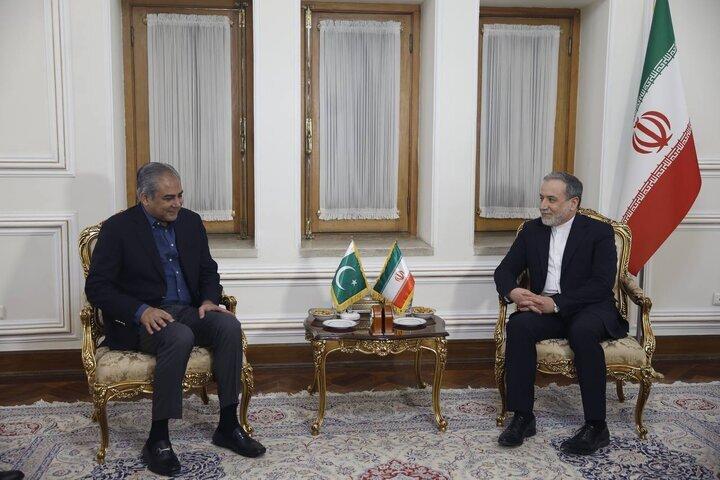 Mohsin Naqvi meets Iranian foreign minister,discusses bilateral relations