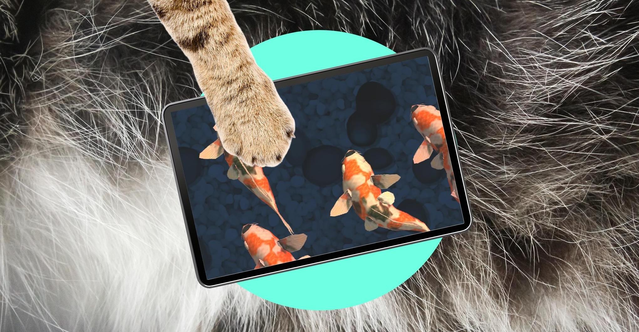 Oops! My cat is an iPad kid