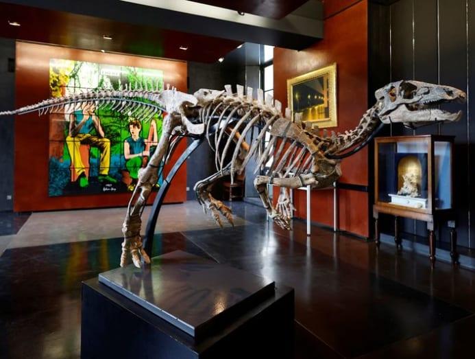 Small dinosaur skeleton to be sold at Paris auction