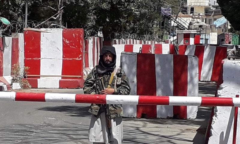 طالبان کا صوبے ہرات پر قبضہ