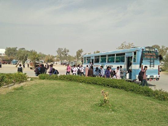 سندھ حکومت نے صوبے بھر کی یونیورسٹیز کھولنے کا اعلان کردیا
