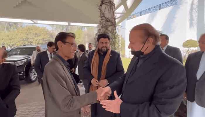 PML-N accedes MQM’s demand regarding constitutional amendment
