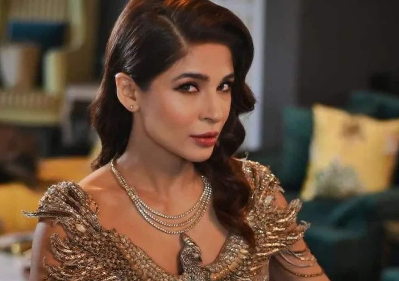 Ayesha Omar’s big announcement on women day