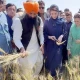 Criticism on Maryam Nawaz on cutting wheat crops 