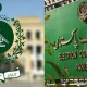 ECP issues successful candidates’ notification in by-elections 